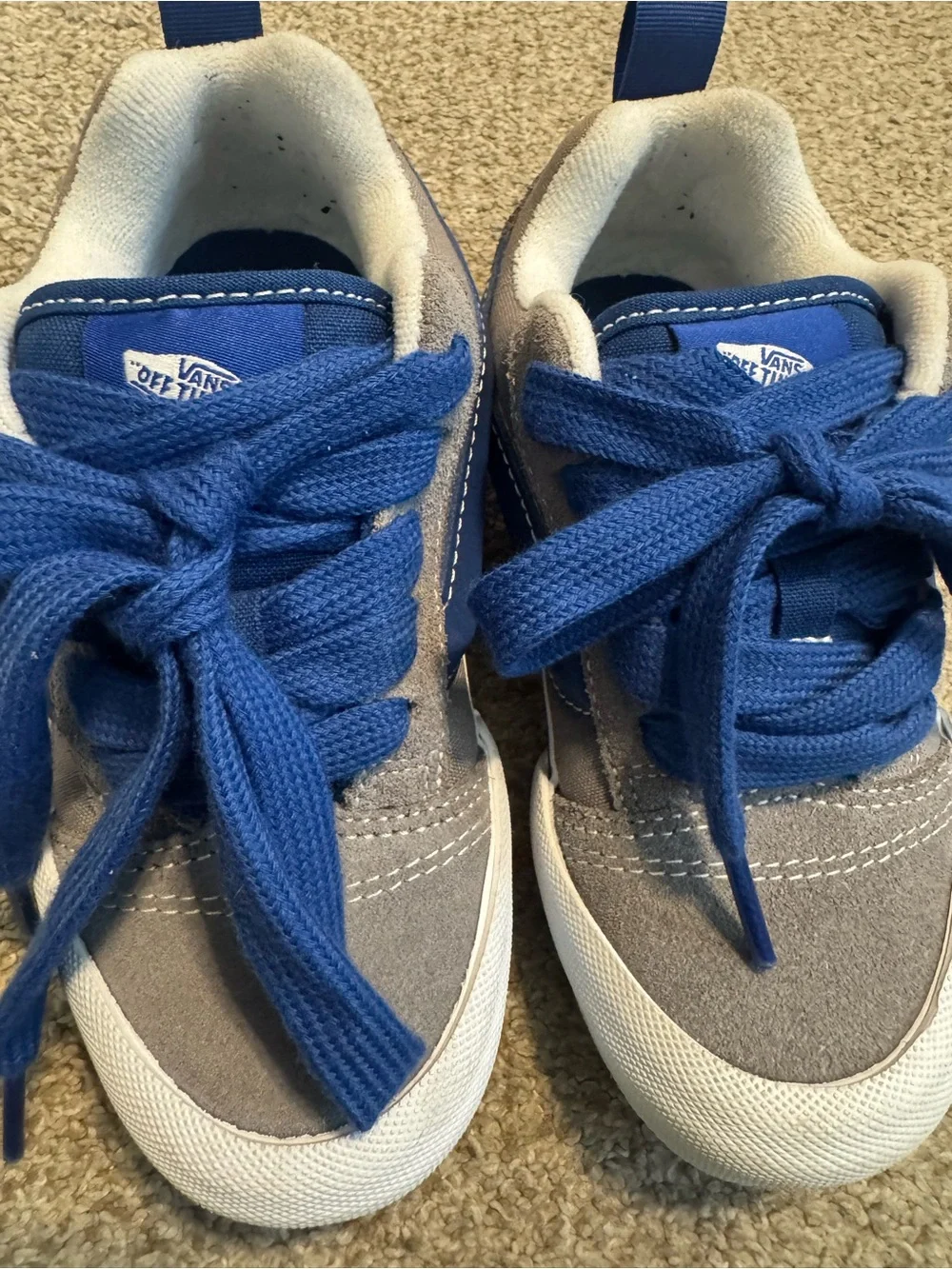 Vans Kids Blue and Gray Low Profile Sneakers